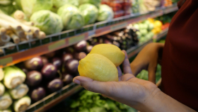 ФАС проверит рост цен на лимоны до 500 процентов